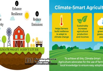 ক্লাইমেট স্মার্ট এগ্রিকালচার, এর উন্নয়ন এবং কৌশলসমূহ