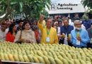 চাঁপাইনবাবগঞ্জের আম ও বাগানের পরিবেশ দেখে মুগ্ধ ১৩টি দেশের রাষ্ট্রদূত